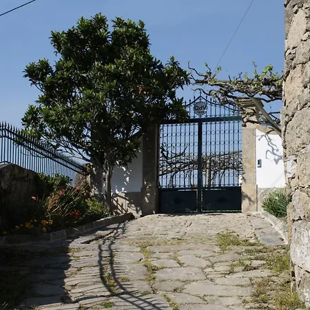 Quinta Da Vila * Cinfães